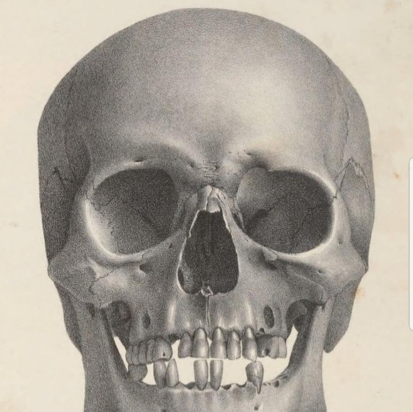 Meet your Posher, Joel - Picture 1 of 1